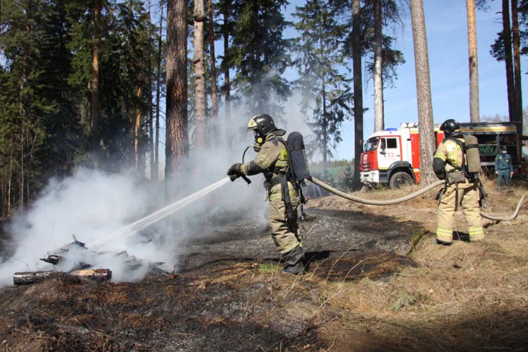 <strong>24. За год в Татарстане не зафиксировали ни одного лесного пожара</strong>