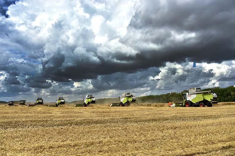 Дожди «смыли» 3,6 млрд рублей