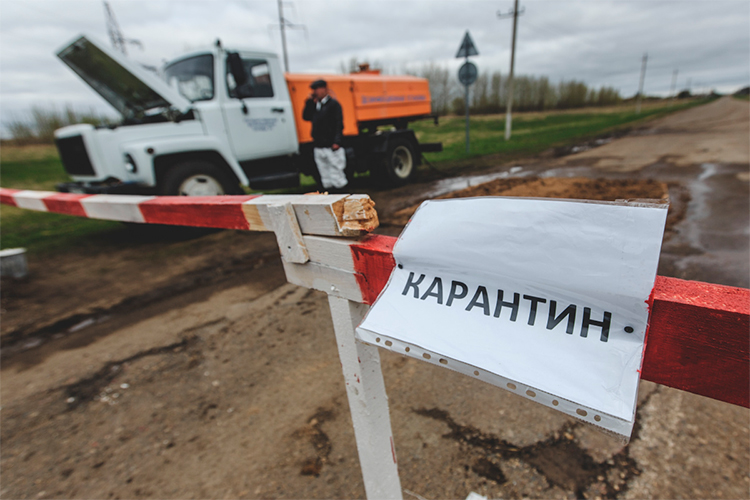 Вспышки бешенства &mdash; впервые за три года