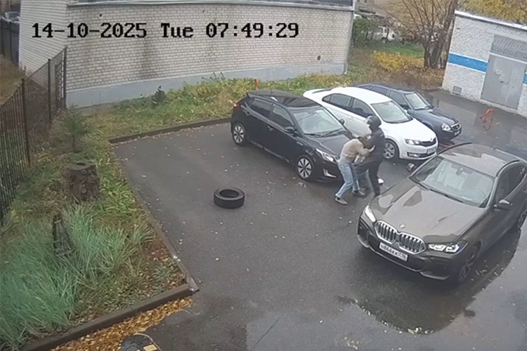 Дело Шевыревых