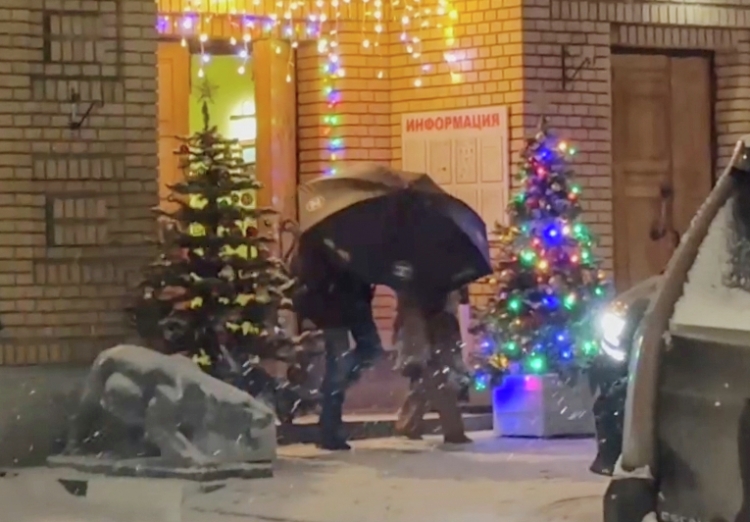 Дело Долиной