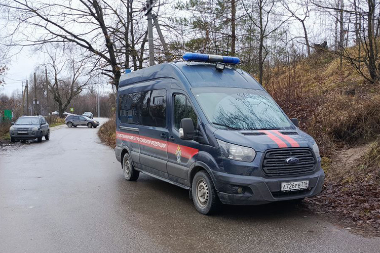 Нападение собак на девочку в Васильево