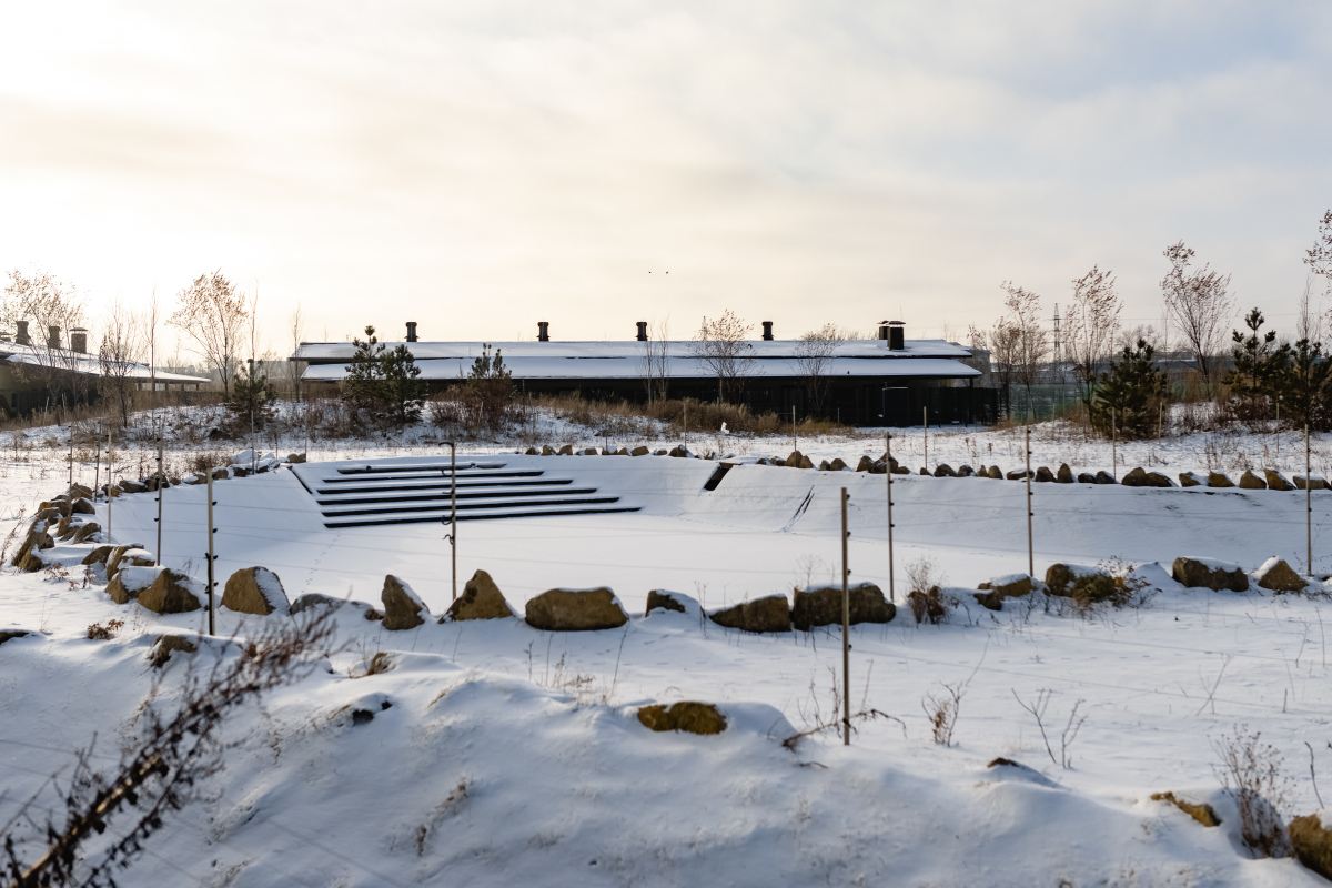 Увеличено финансирование строительства вольеров для амурских тигров в Казанском зооботсаду